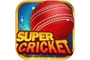 super cricket game